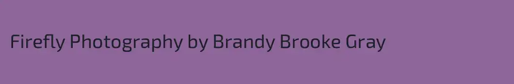 Firefly Photography by Brandy Brooke Gray